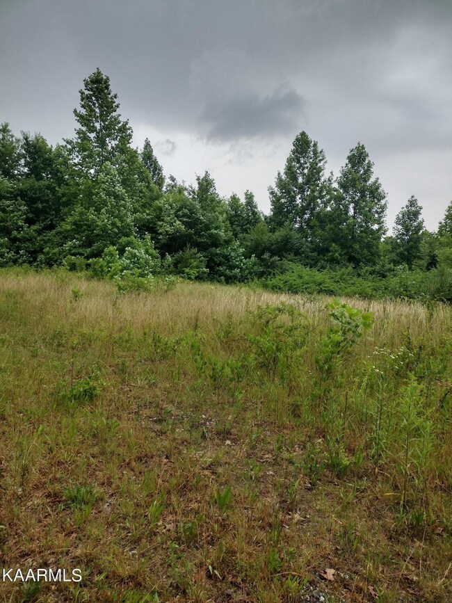 IMG_20220606_180103841_HDR