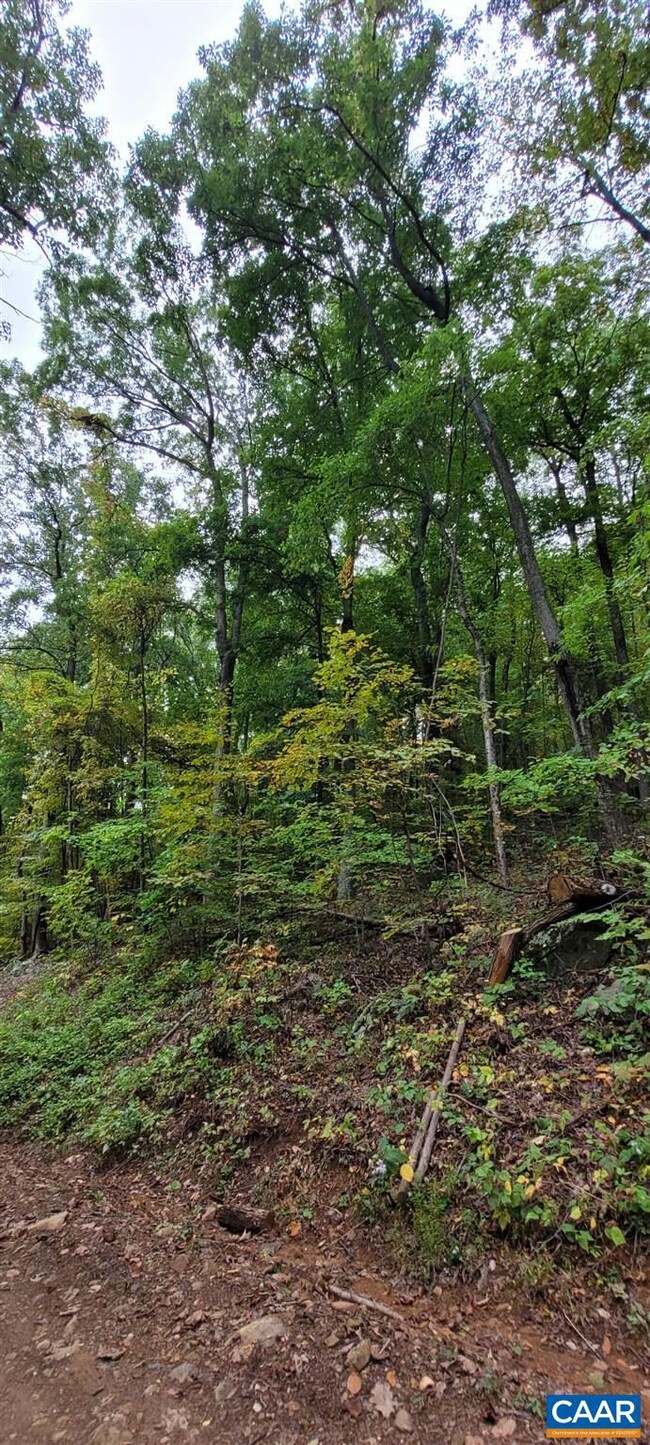 0 Barrow Ln unit 623164, Stanardsville, VA 22973 - photo 7