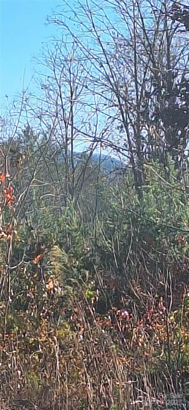 4204 Bennett Rd unit 4206, Morganton, NC 28655 - photo 3