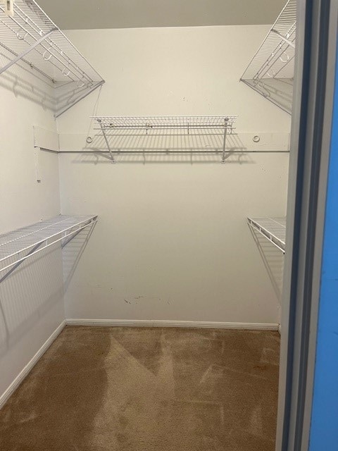walk in closet in master bedroom