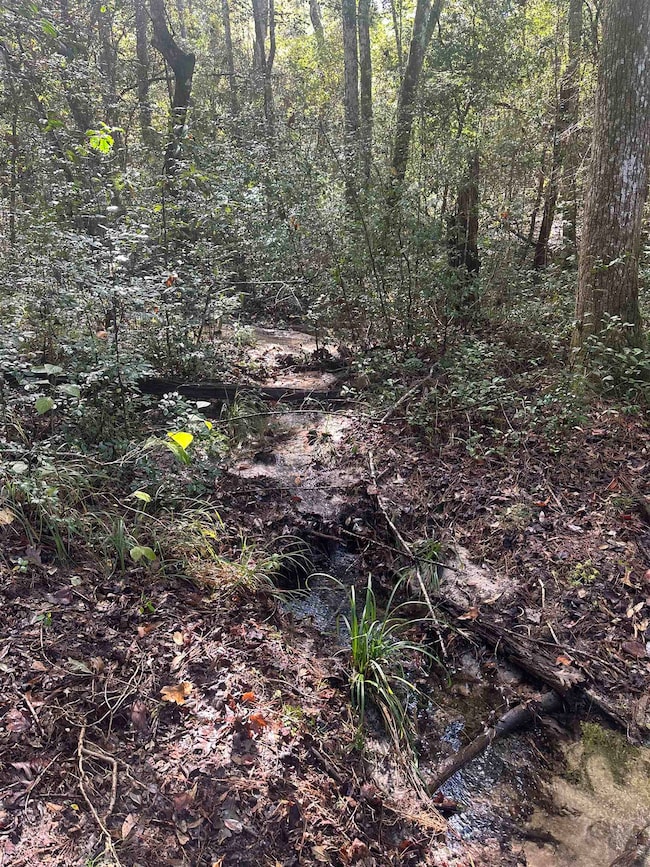 293 Hummingbird Ln, Ponce de Leon, FL 32455 - photo 7