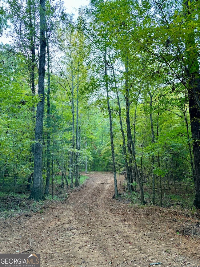 1569 Skull Shoals Rd, Washington, GA 30673 - photo 2