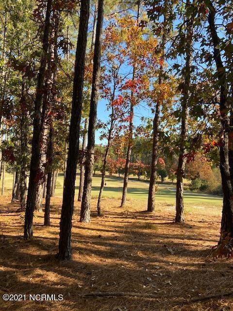 view from inside lot