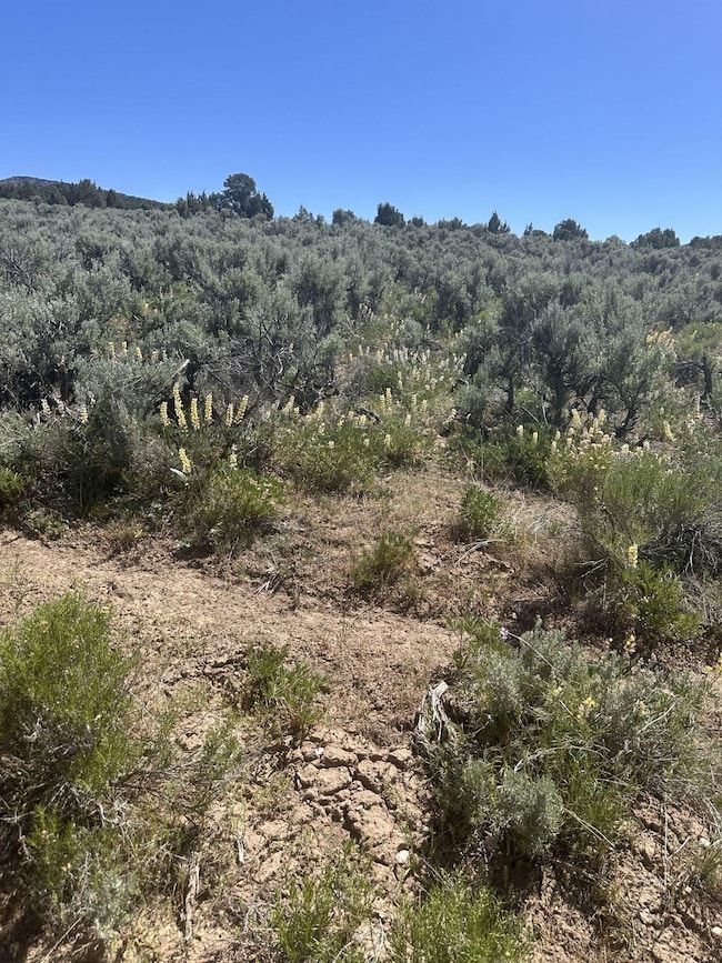 0 Parcel unit 3626850, Montello, NV 89822 - photo 3