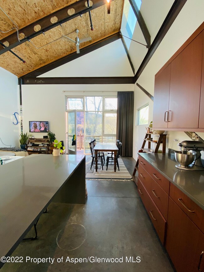 0035 Widget St unit 516, Basalt, CO 81621 - photo 7