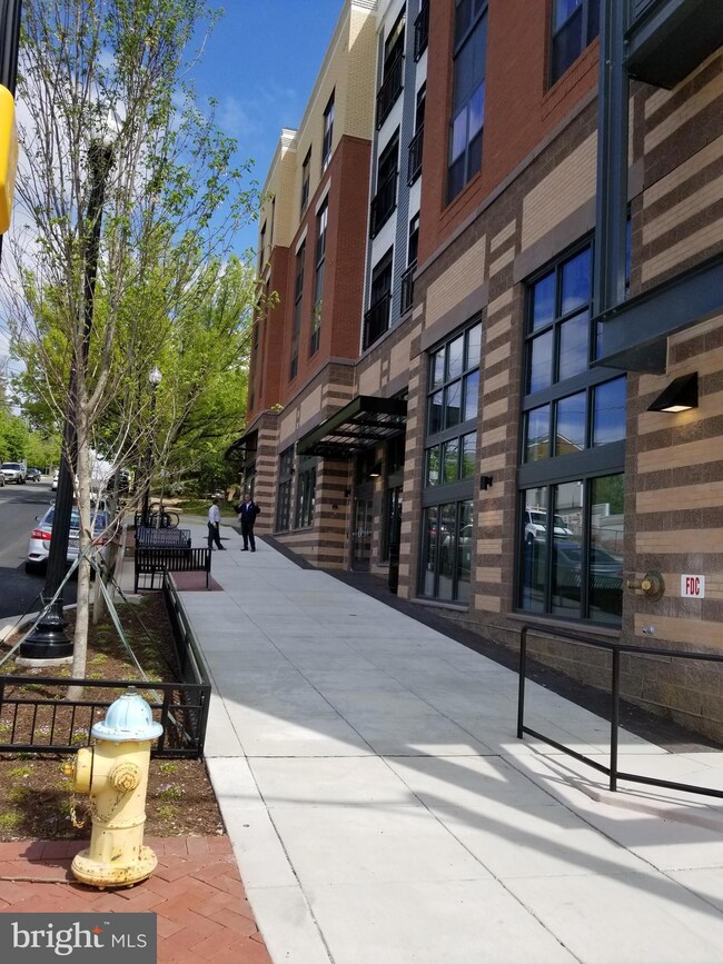 Trafalgar Flats unit 325, Arlington, VA 22204 - photo 4