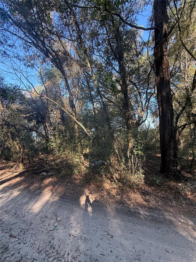 SW 148TH CT SW 32 Place, Rainbow Park, FL 34481 - photo 2