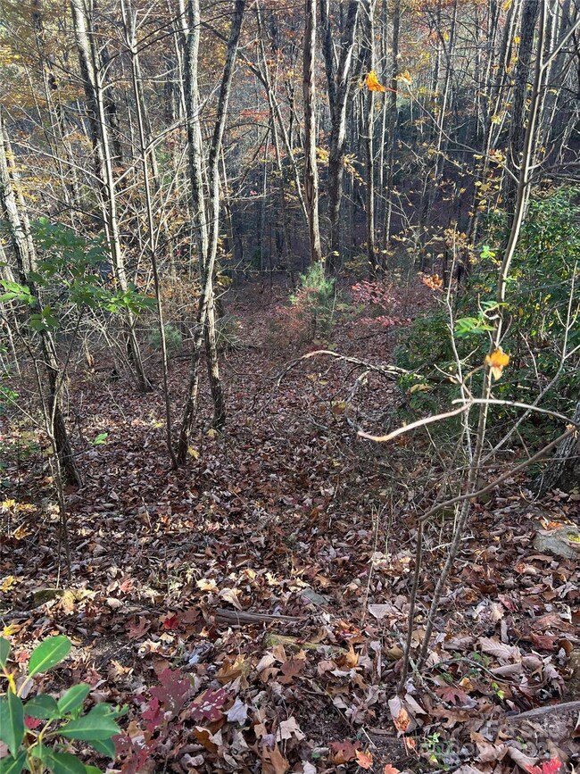 Lot 66 Musket Dr, Almond, NC 28713 - photo 5