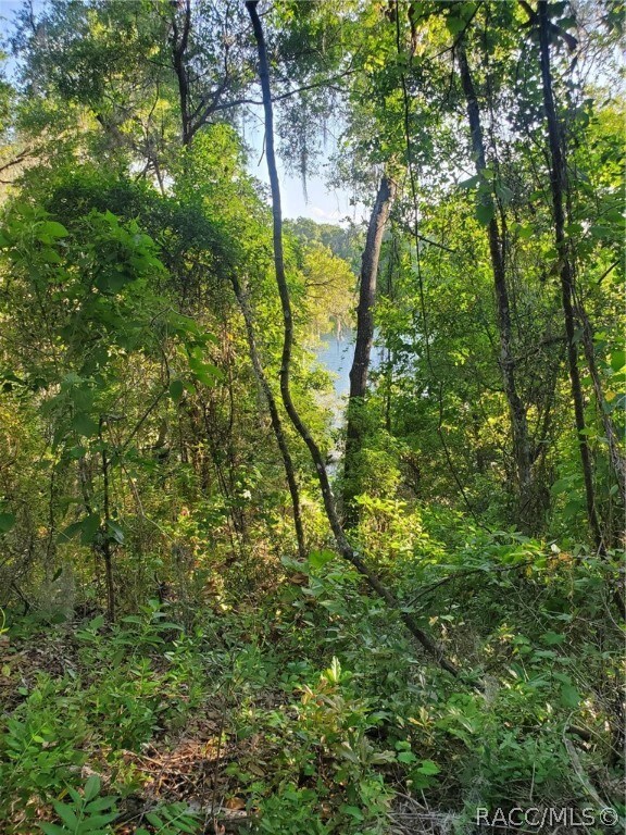 2214 E Keepsake Ln, Hernando, FL 34442 - photo 4