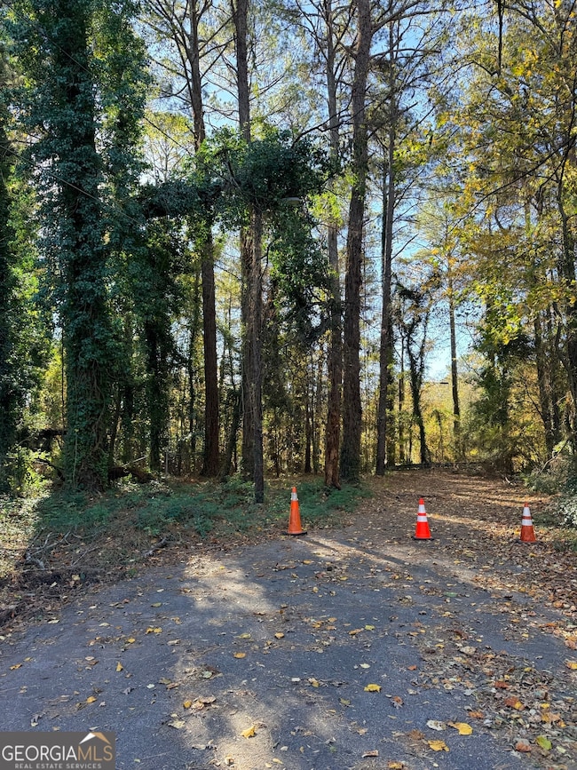 2320 Park Way SW, Atlanta, GA 30315 - photo 3