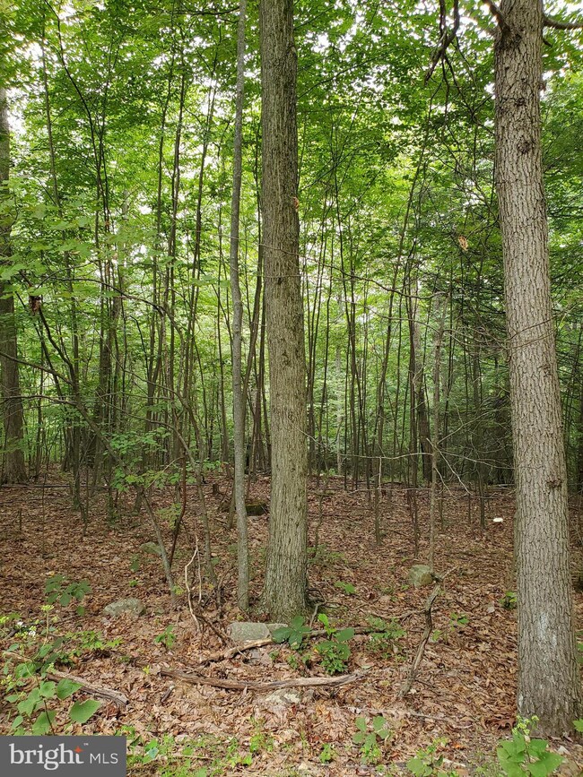 0 Bison Ridge Ln unit PAPY2000378, Newport, PA 17074 - photo 5