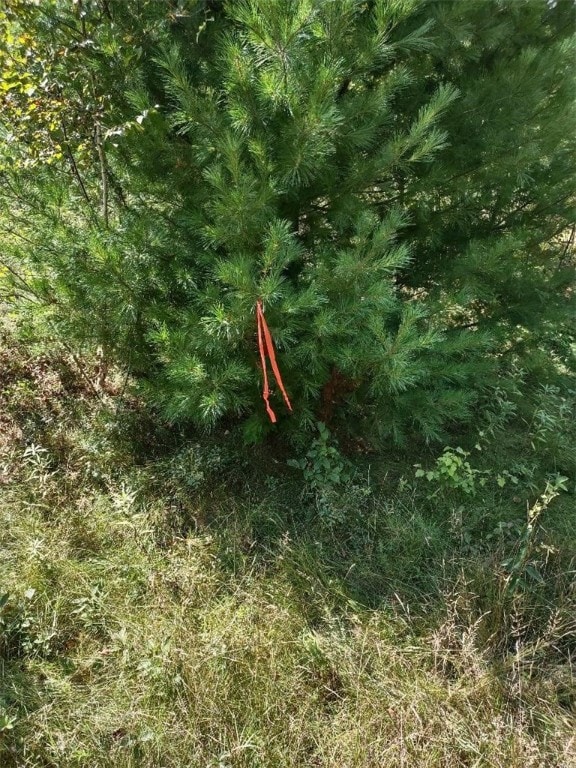 Northeast corner flagged