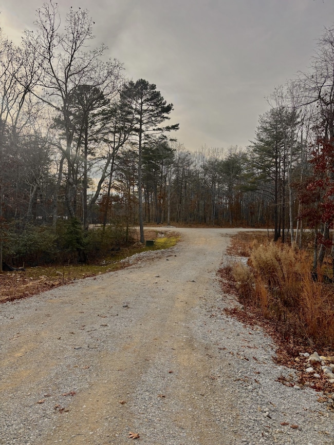 0 Summerfield Rd unit RTC3056693, Monteagle, TN 37356 - photo 4