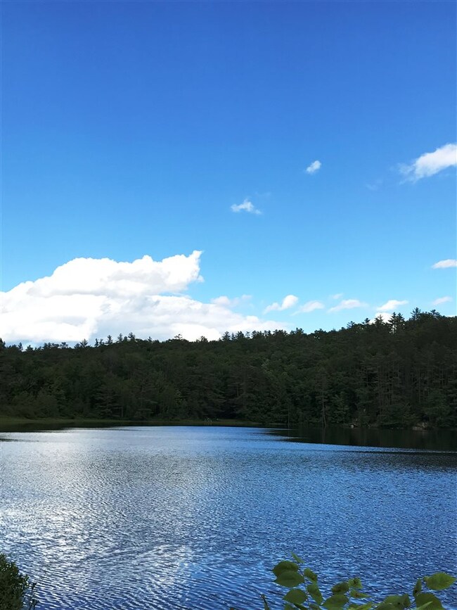 0 Perch Pond Rd unit 4612646, Lisbon, NH 03585 - photo 7