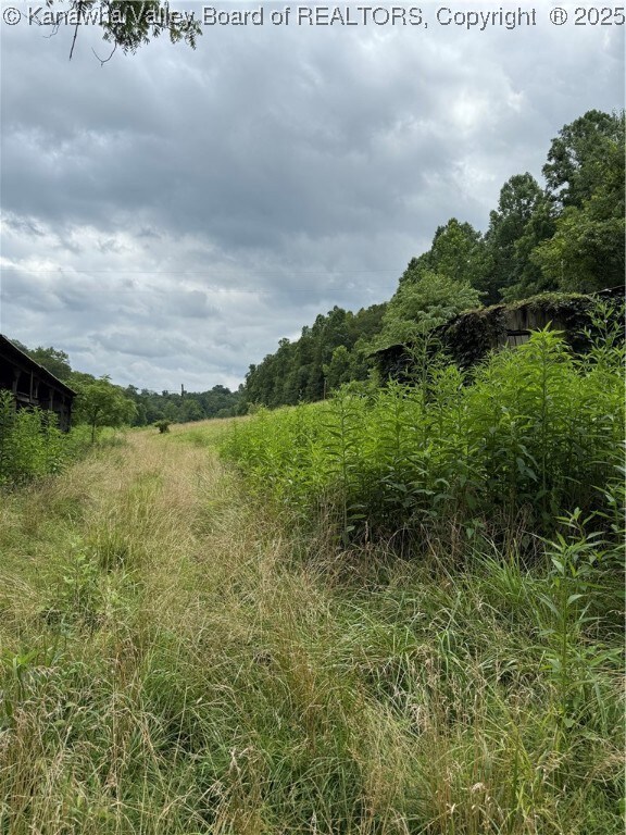 961 Road Run, Elizabeth, WV 26143 - photo 5