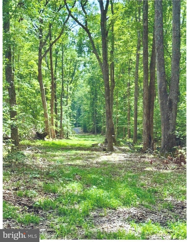 14409 Spotswood Furnace Rd, Fredericksburg, VA 22407 - photo 2