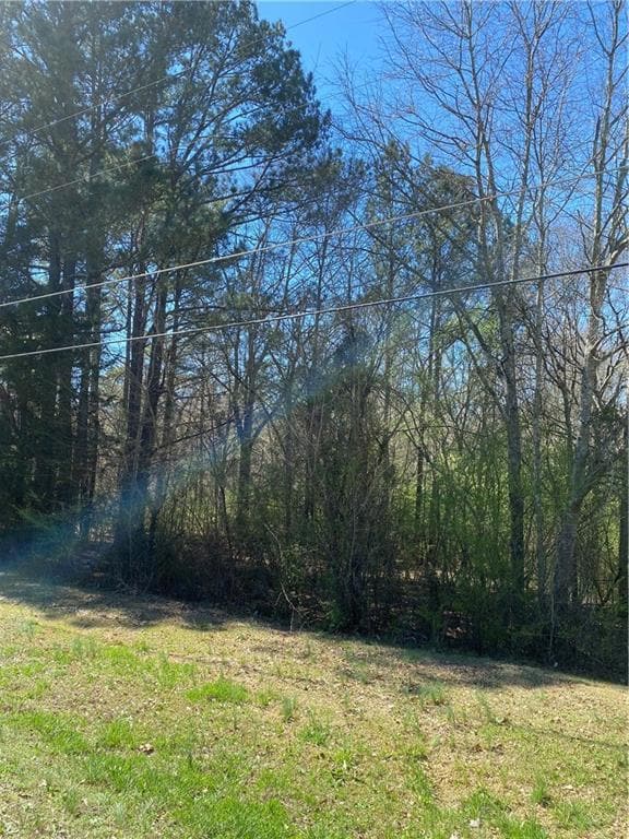 0 Claude Brewer Rd unit 7454668, Loganville, GA 30052 - photo 4