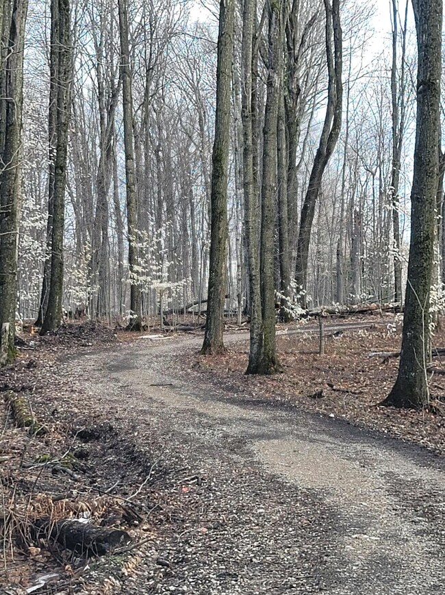 17898 W Co Rd H-42, Germfask, MI 49836 - photo 3