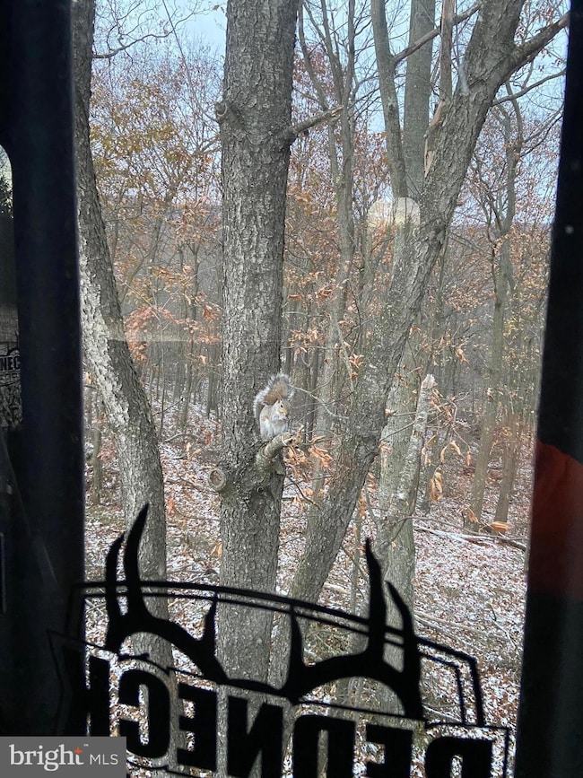 0 Llama Ln, Licking Creek Township, PA 17238 - photo 5