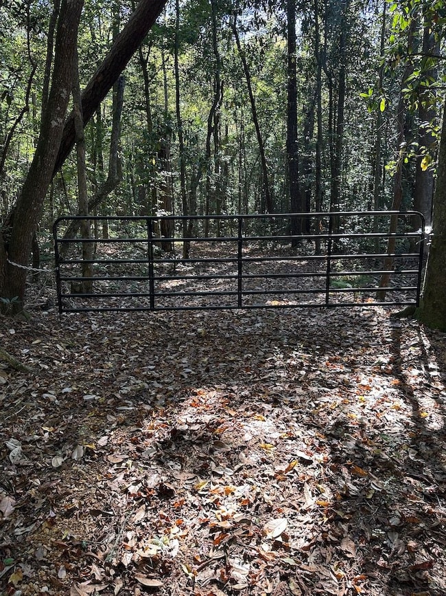 Cutrer Dr unit LotWP001, Osyka, MS 39657 - photo 2