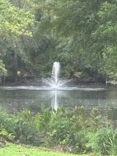 109 Willow Pond Way, Brunswick, GA 31525 - photo 2