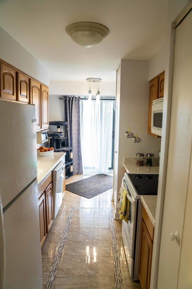 600 Naples Ct unit 501, Glenview, IL 60025 - photo 7