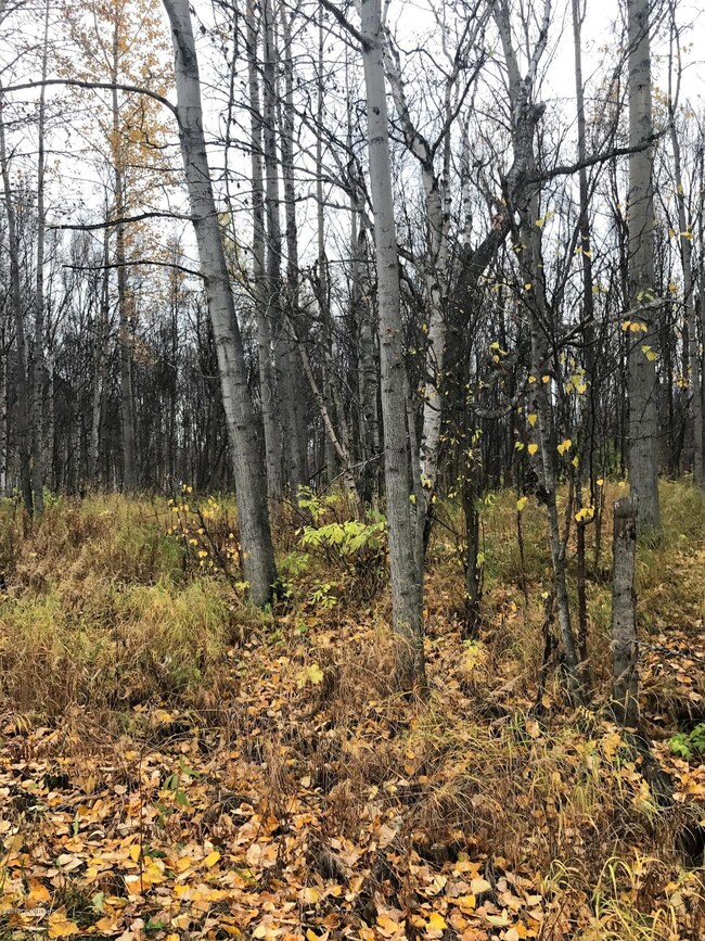 15600 Jupiter Ave, Lazy Mountain, AK 99645 - photo 5