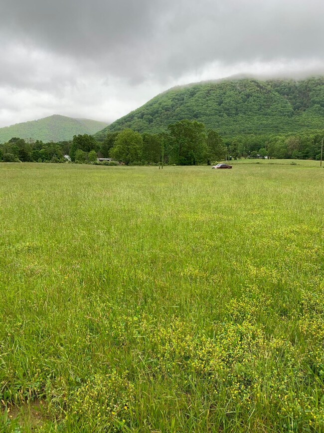 Lt 15 Old Mountain Rd, Greeneville, TN 37743 - photo 3