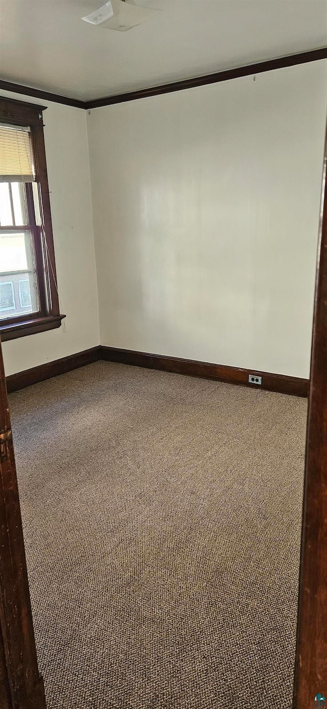 Empty room featuring carpet and ornamental molding
