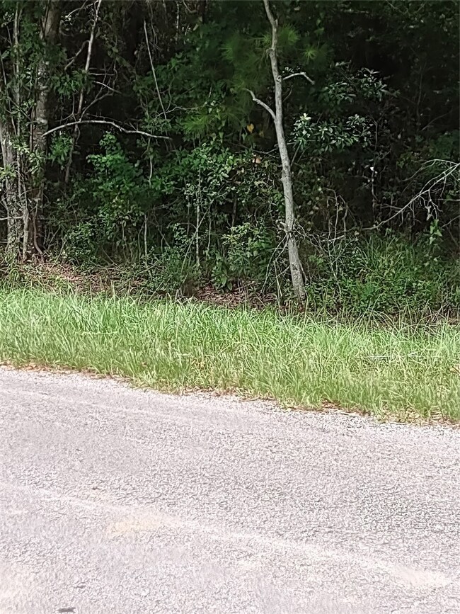 26721 Apache Trail, Magnolia, TX 77354 - photo 3