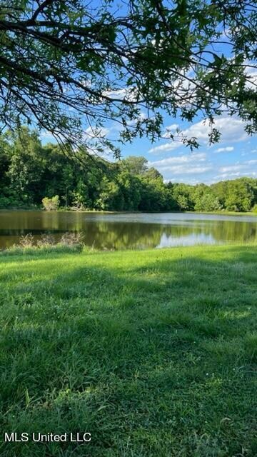 Backyard 3