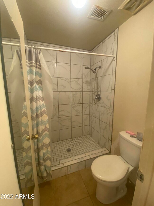 2838 East Isabella Ave_Guest Bath