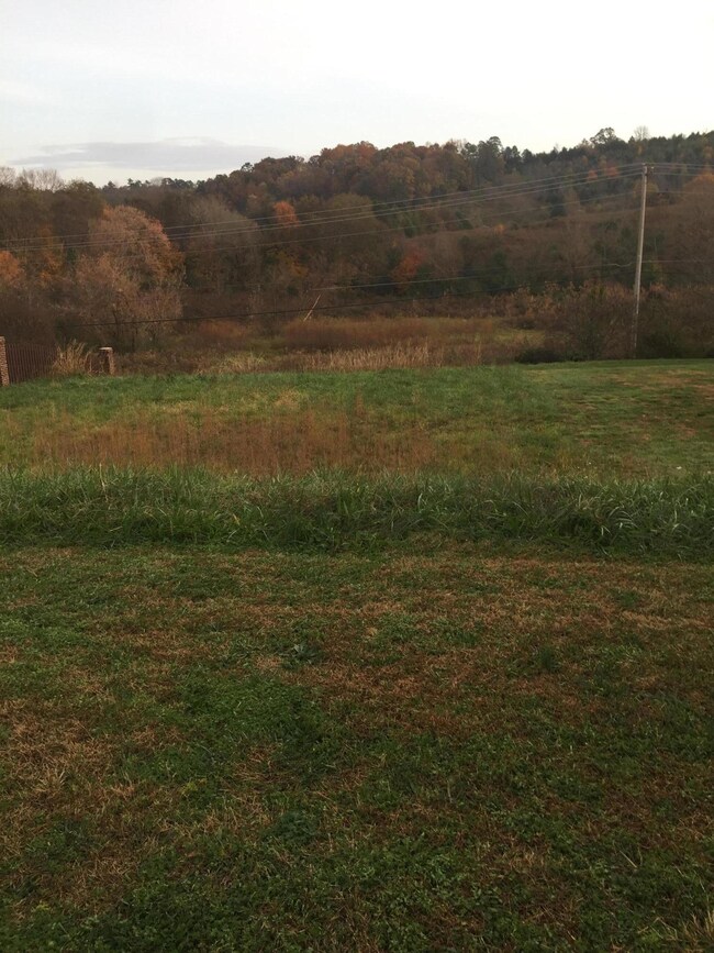 12336 Connor Springs Ln, Knoxville, TN 37932 - photo 2