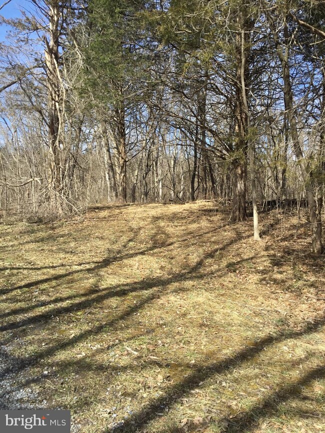 0 Calamus Ln unit VASH114240, Strasburg, VA 22657 - photo 2