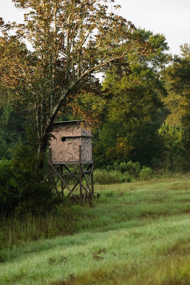 15816 Roberts Rd, Opp, AL 36467 - photo 2