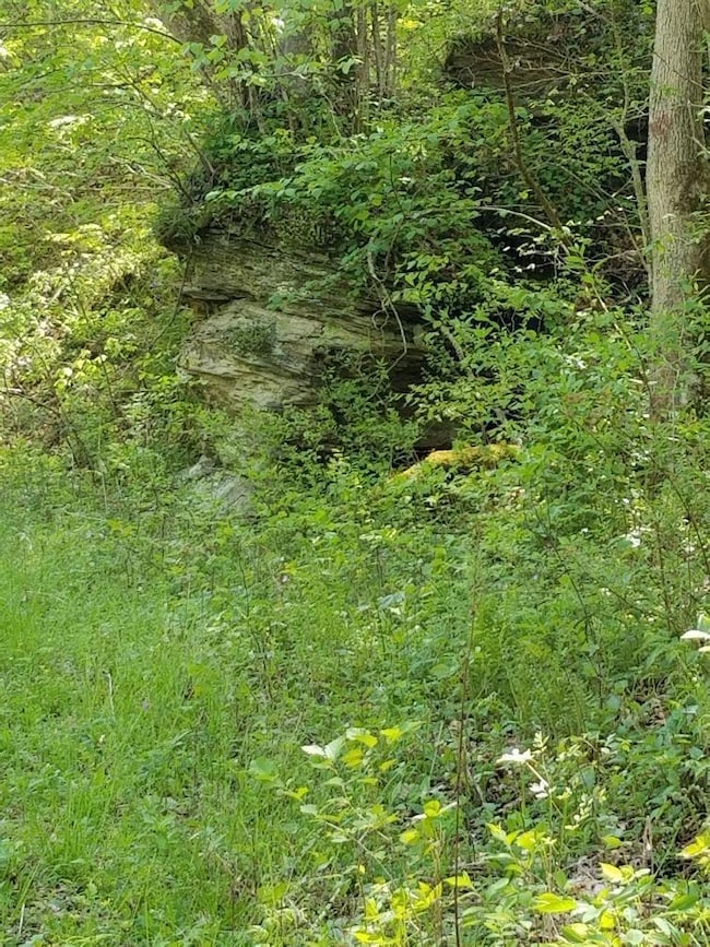 743318A0-7BD7-4A7E-8540-B5AFA5772DD7