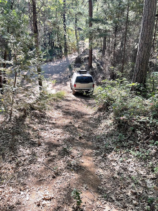 20676 Spring Garden Rd, Foresthill, CA 95631 - photo 3