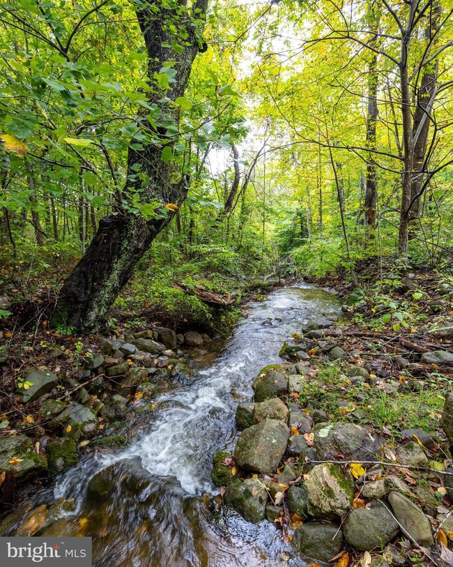 0 Smith Run Rd unit VAWR2009266, Bentonville, VA 22610 - photo 5