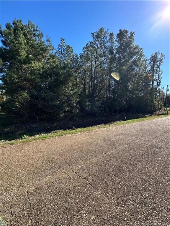 0 Stillwood, Deridder, LA 70634 - photo 2