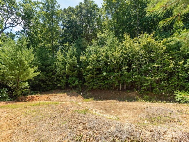 00 Mistletoe Trail Unit 46, Hendersonville, Nc 28791 