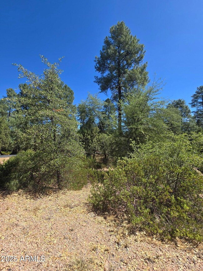 2511 E Pine Island Ln unit Lot  39, Payson, AZ 85541 - photo 4