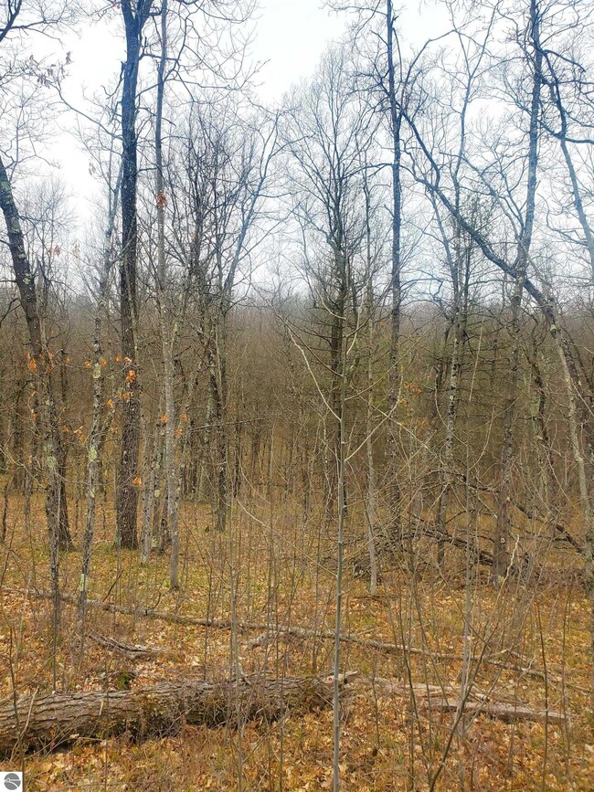 9577 N Woodbridge Dr, Bitely, MI 49309 - photo 4