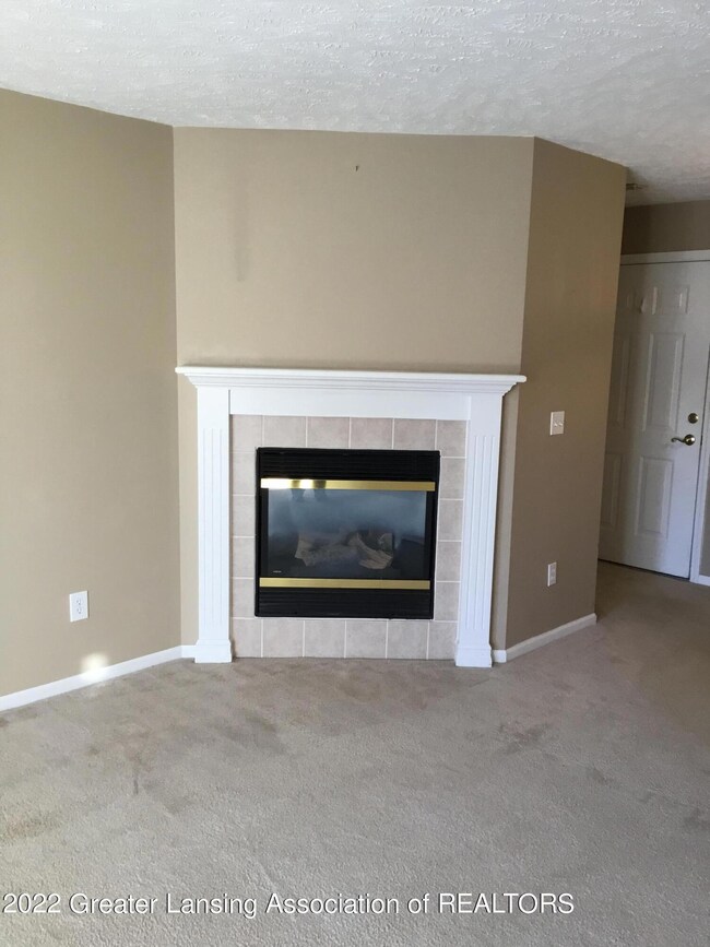 Fireplace in living room