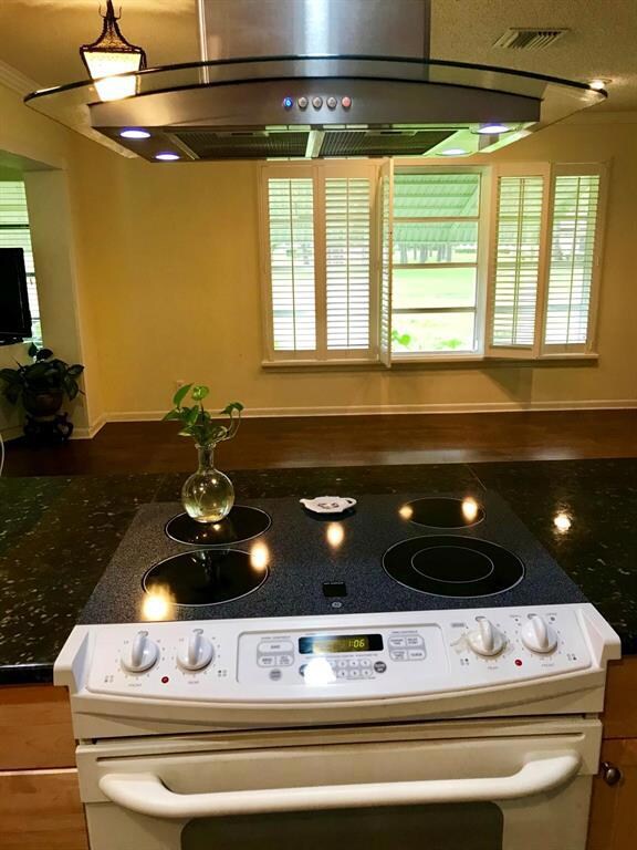 VIEW FROM KITCHEN