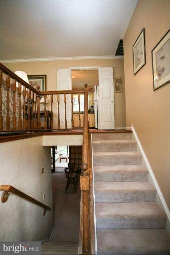 12319 Myterra Way, Herndon, VA 20171 - photo 3