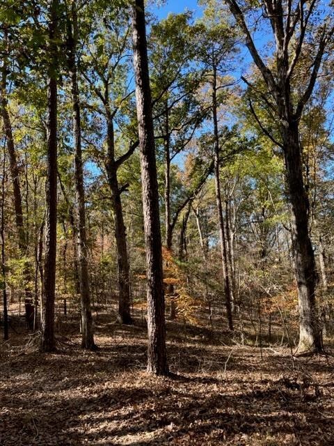 TBD Cr 435, Oxford, MS 38655 - photo 3