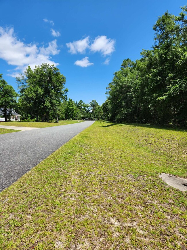 XX Sawmill Ct, Crawfordville, FL 32327 - photo 2