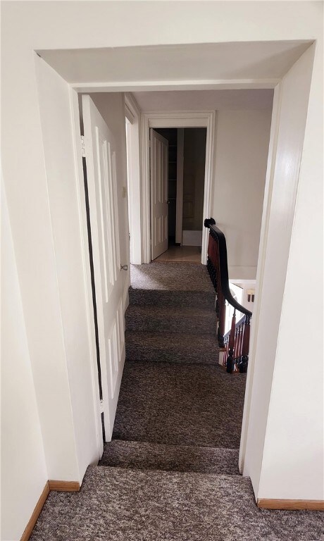 Apartment 1