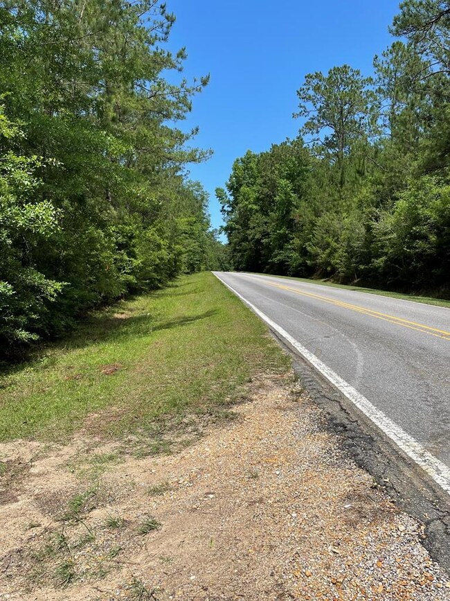 Silver Run Road, Blacktop