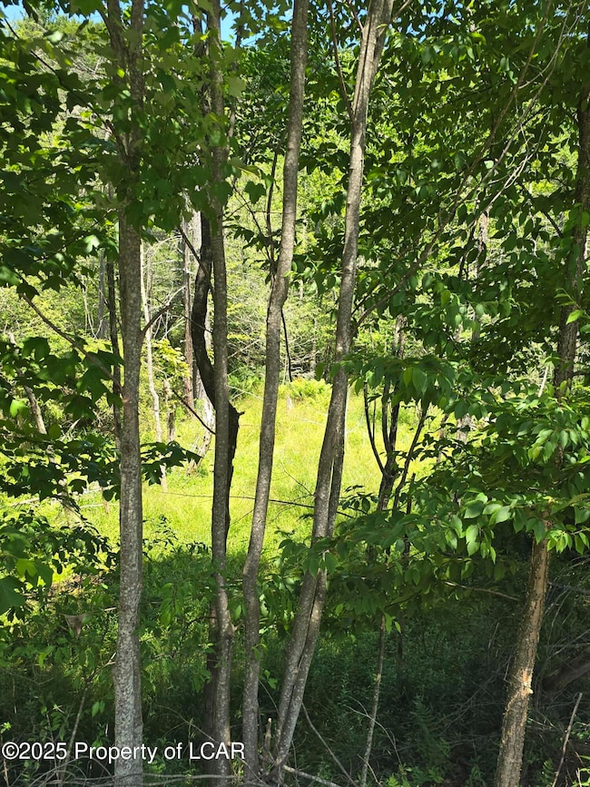 0 2nd St, Harveys Lake, PA 18618 - photo 3